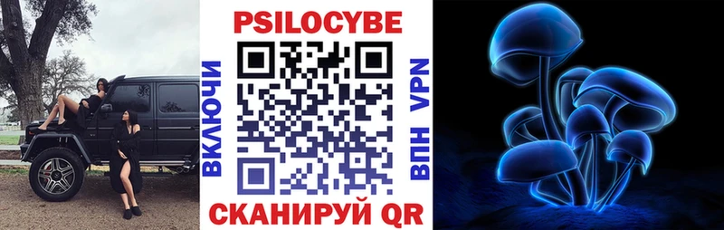 darknet телеграм  Дно  blacksprut ссылка  Галлюциногенные грибы Magic Shrooms  сколько стоит 